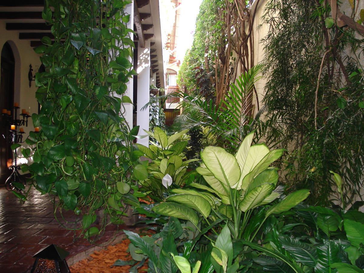 Casa Florencia Hotel アンティグア・グアテマラ エクステリア 写真